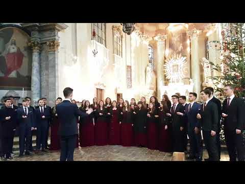 Liceul Teologic Adventist din Bucuresti - Concert de Craciun Basilica Maria Radna .6