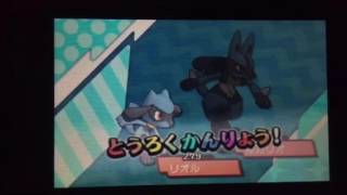 ポケモン サンムーンリオルゲット リオルが簡単にゲット出来る تنزيل الموسيقى Mp3 مجانا