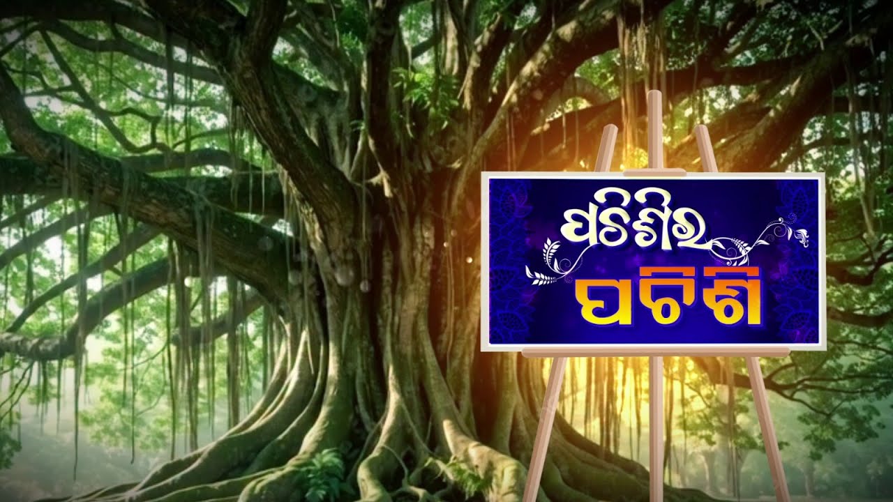 🔴 Live | ପଚିଶିର ପଚିଶି