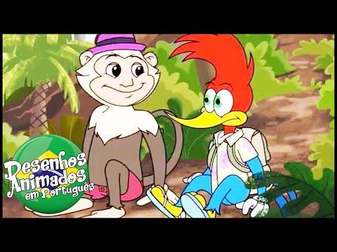 Capa de Pica-Pau em Português |  Aventuras no Brasil Compilação| Nova Série | Desenhos Animados
