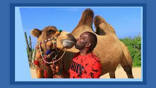 My Los Cabos vacation 2019