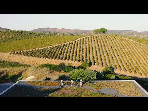 Branko | Alentejo (Live Set) - Quinta do Quetzal