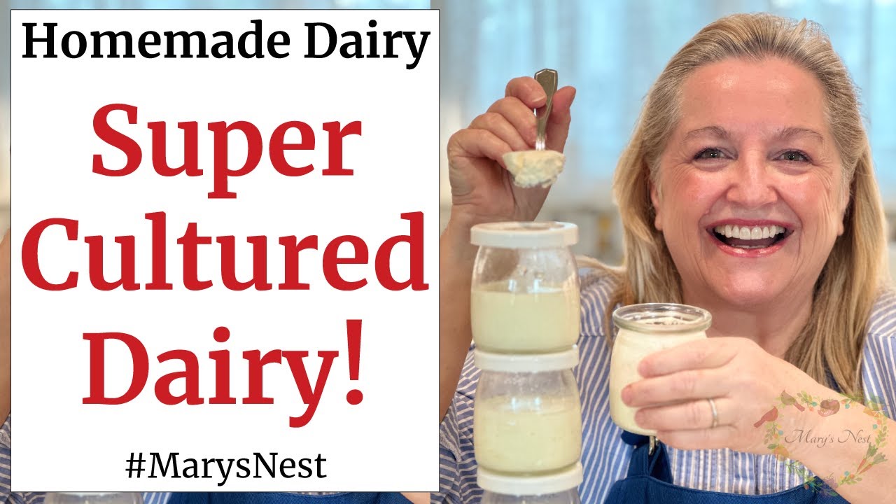 How to Make L. Reuteri Cultured Dairy - Homemade l. Reuteri Yogurt - Lactobacillus Reuteri Yogurt