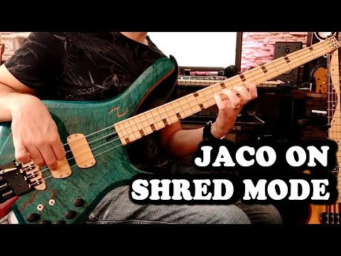 The Insane Jaco Pastorius Groove Style // LITTLE SUNFLOWER