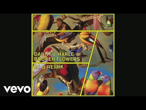 Danny L Harle - Broken Flowers (DJ Q Remix) [Official Audio]