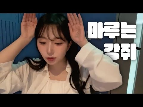 음보정이 필요 없는 오해원의 마루는 강쥐 기타 버전