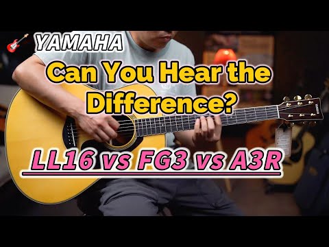 Can You Hear the Difference?🎸 YAMAHA LL16 vs FG3 vs A3R。