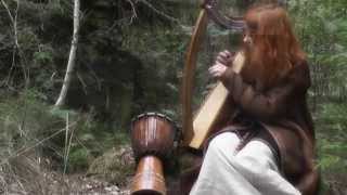 Merrigan: Sagan om Tveskägg (Tveskaegg's Story)