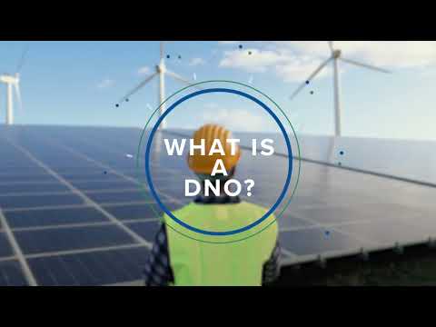 What is a DNO?