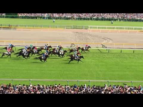 2016年　日本ダービー