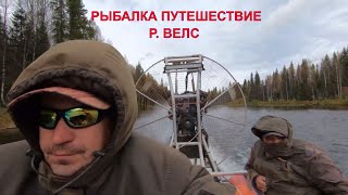 Ссылка