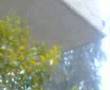 ثلوج في بغداد 11 1 2008