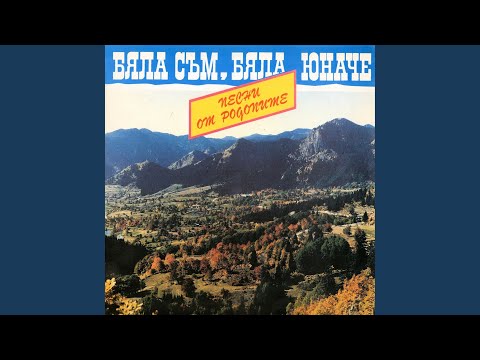 Възпело е пиле