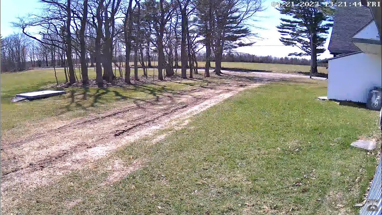 Live webcam view of Driveway Cam at the Raccoon Saloon