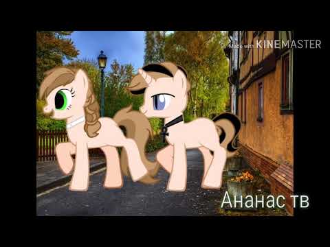 Пони клип занято(канон)