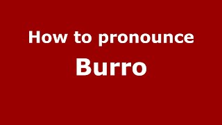 How to pronounce Burro