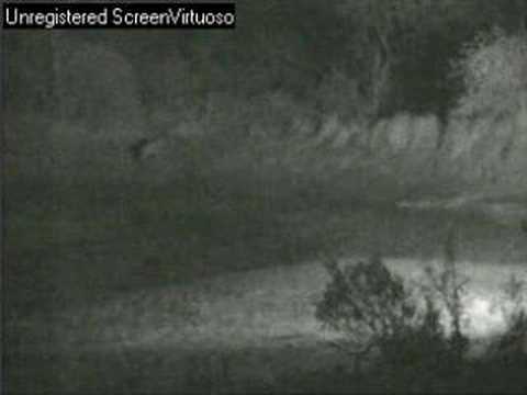 Lion and Roars Djuma 09/30/07