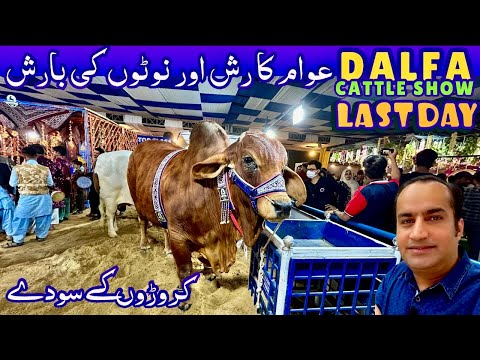 Dalfa Cattle Show 2024 At Expo Centre Karachi Last Day 😀