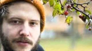 Bon iver - I Can&#39;t Make You Love Me (Official)