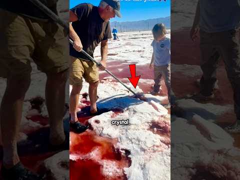 The Rarest Crystal! (@wadeandwillow via TT)