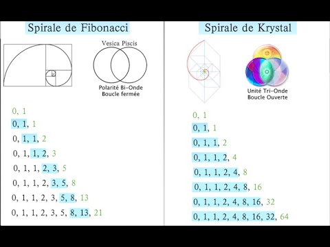 Fibonacci Spiral vs Krystal Spiral, The Zero Point, Organic Flower of Life or Flower of Death