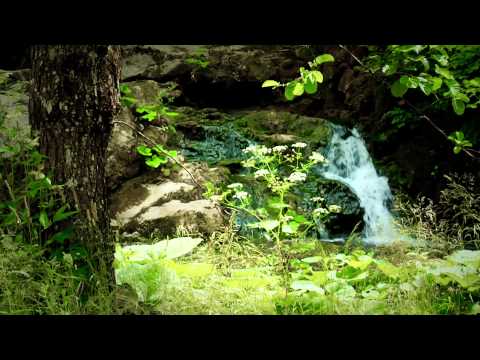 KOZJANSKI ZVEN - MI KOZJANCI