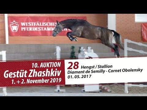 28 Hengst / Stallion v.Diamant de Semilly - Cornet Obolensky