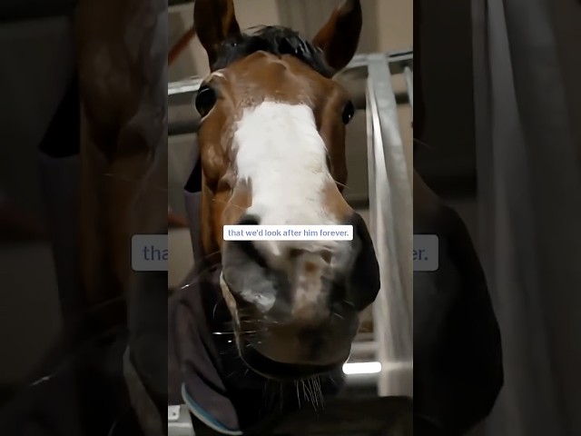 Thumbnail for Post ID: qeNFXvB1mw0