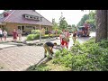 Zorgen om 'onveilige' oude bomen in Emmeloord: 'Moeten gekapt worden!'