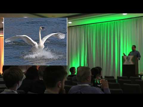 Many Faces of Continuent Tungsten