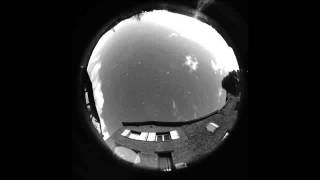 Logical Disorder - Dies natalis solis invicti