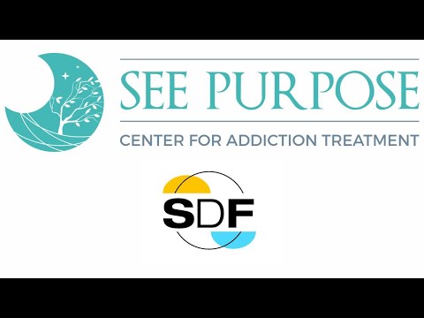 SEE Purpose Treatment Center | Dave Smith on Emotional Intelligence & Mindfulness