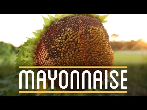 Mayonnaise | How to Make a Everything: Sandwich (9/12)