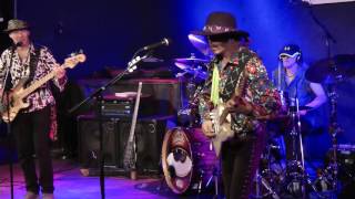 Randy Hansen - Freedom (live Vienna 2016)