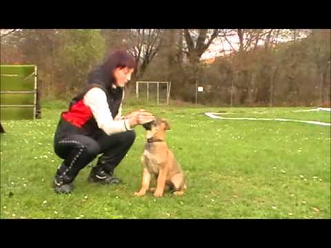 Kaila z Jukasu 10 weeks