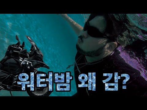 올해 여름 휴가 어디로 가실건가요?