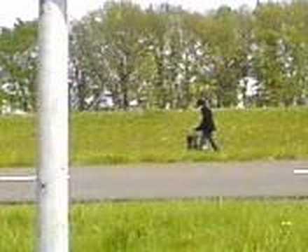 bargeres die is de weg kwijt