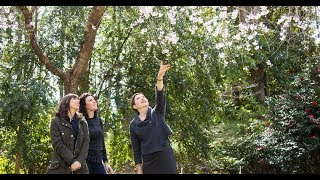 Around Town: Southern Pines