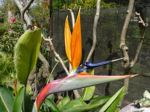 Botanische Tuin Zuidas - Amsterdam