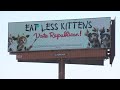 Arizona GOP puts up 'Eat Less Kittens' billboards