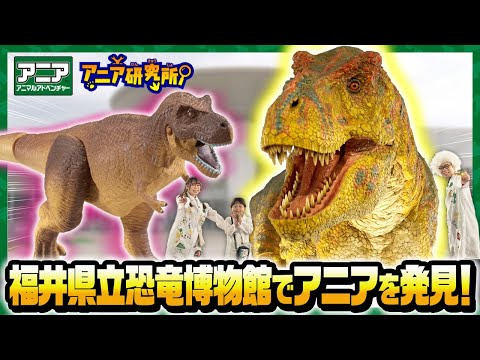【アニア研究所】福井県立恐竜博物館で恐竜のひみつだいはっけん！【タカラトミー公式】