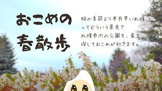 【4K】おこめ、春を探してお散歩します