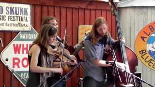 The Stray Birds at Albino Skunk 2013 -- Make Me a Pallet on Your Floor