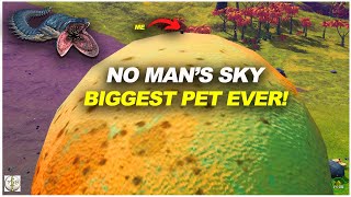 MASSIVE WORM PET | No Man's Sky SANDWORM TAMED | MOD