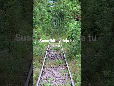 Caimancito Provincia de Jujuy