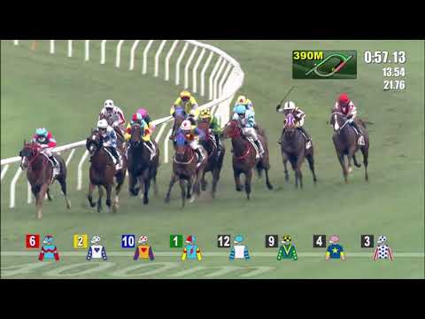 2/5/2021 (642) Fantastic Treasure - C Schofield (3-year-old with 4 wins in a row!)