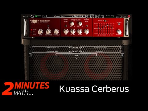 Free Download Cerberus Bass Amp v1.0.8 APP AU VST VST3 x86 x64 WiN MAC-R2R