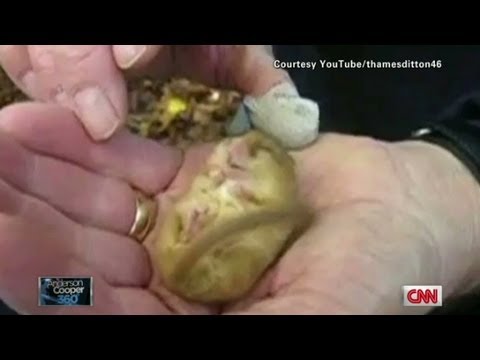 Snoring dormouse invades AC360