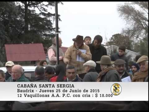 25-06-15 Venta de Vaquillonas P.C. con crìa - Santa Sergia - Baudrix