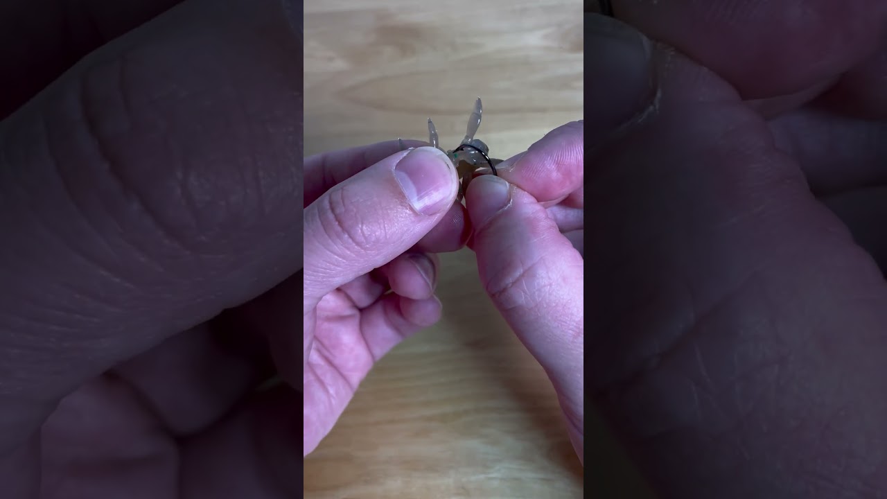 【失敗かも】シザーコム３インチのノーシンカー